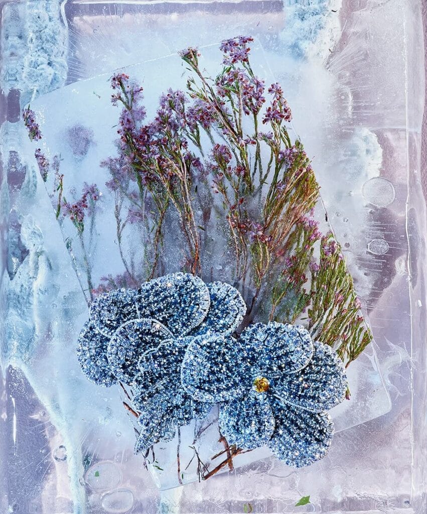 Luxury diamond floral jewellery arranged in an elegant still-life composition.